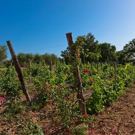 Borgo Del Tempo Ritrovato - Luxury Relais In Puglia Holiday home *
