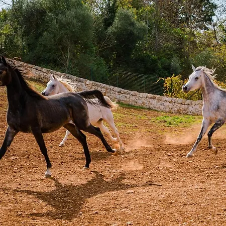 Borgo Del Tempo Ritrovato - Luxury Relais In Puglia Сasa de vacaciones