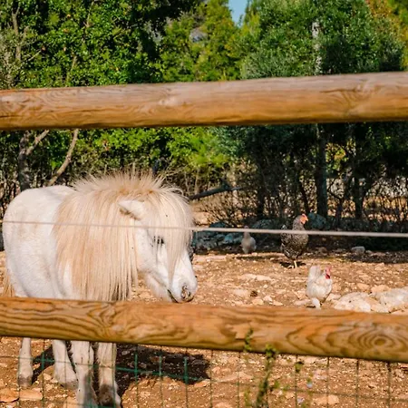 Сasa de vacaciones Borgo Del Tempo Ritrovato - Luxury Relais In Puglia